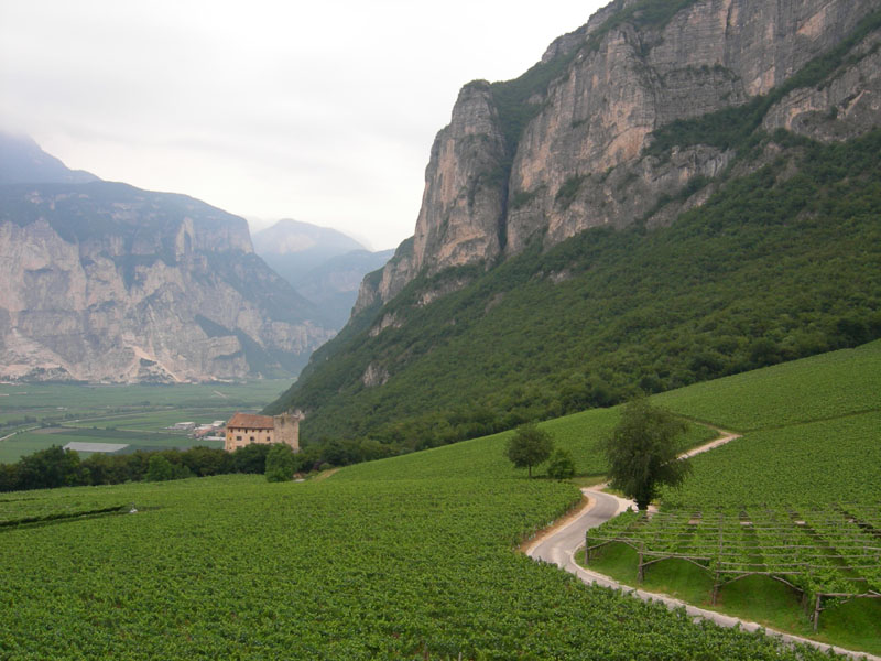 Castelli,Torri e Palazzi.....del Trentino